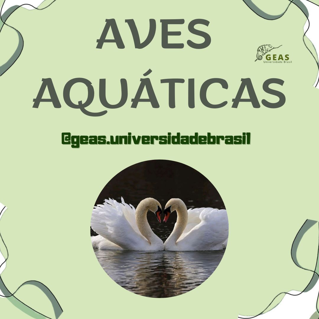 Aves Aquáticas