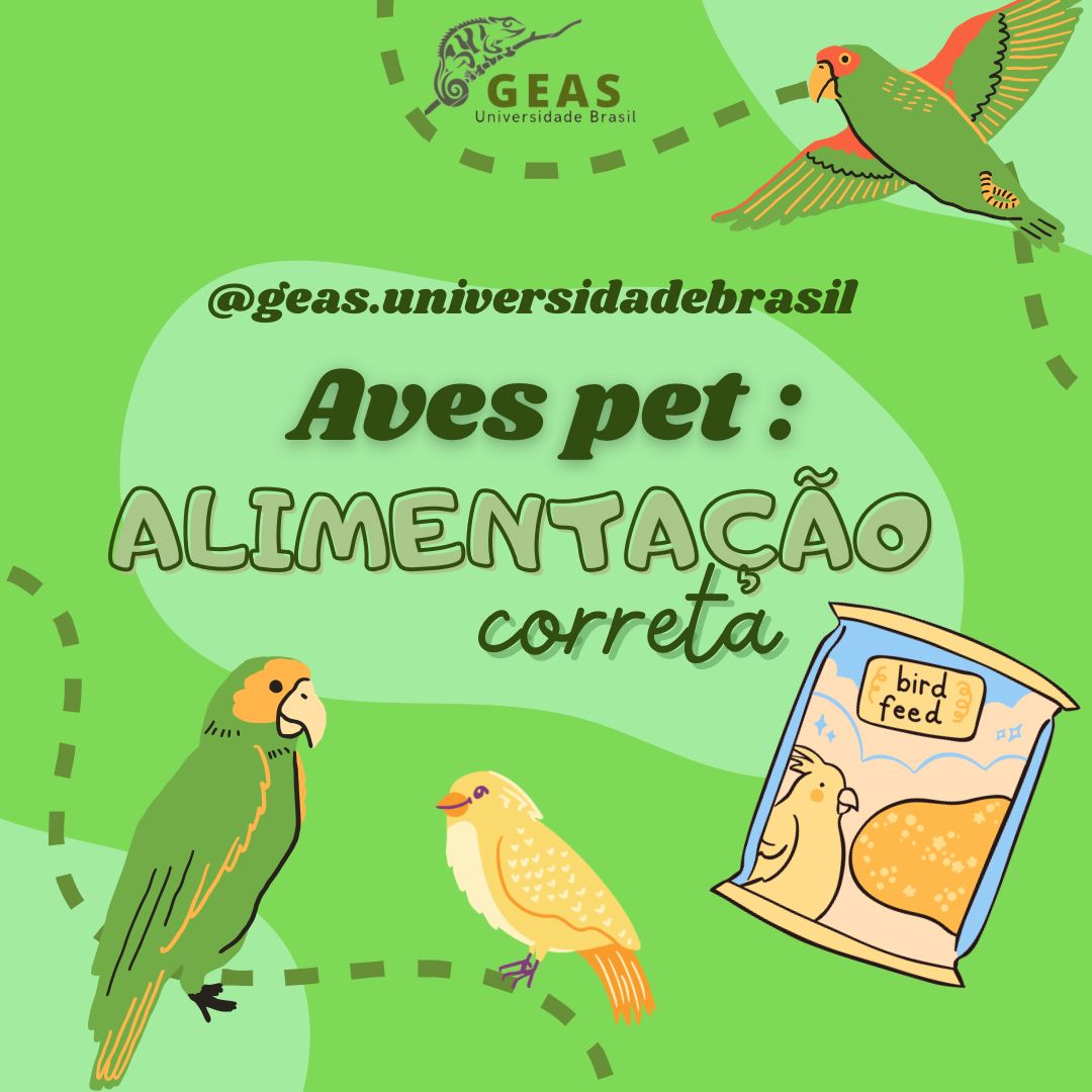  Aves pet e sua alimentação correta