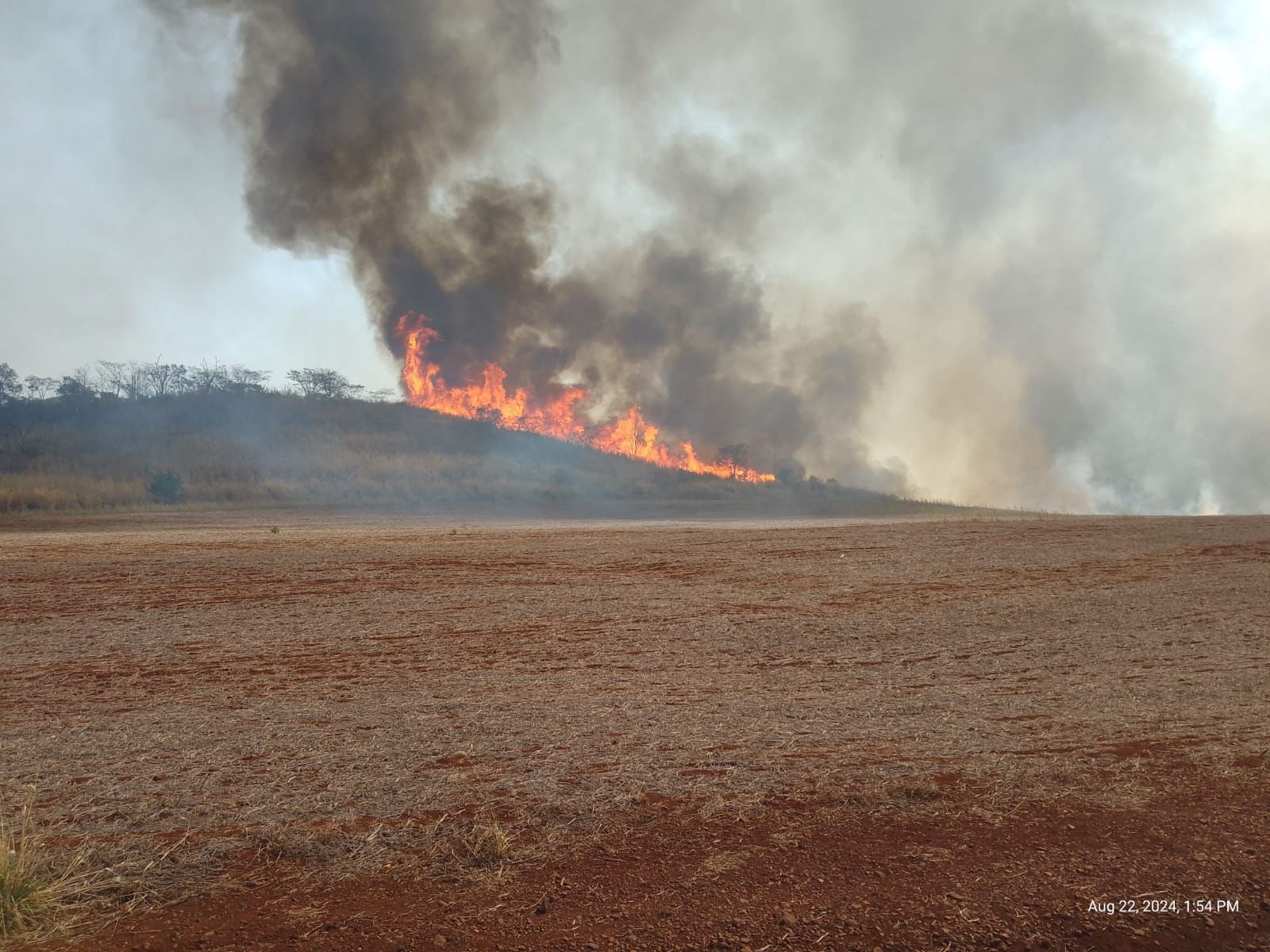 Tarcísio sobrevoa regiões atingidas por incêndios no interior de SP