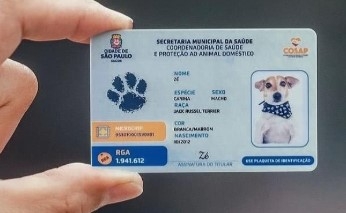 Lei dos RGs para pets começa a valer a partir de janeiro
