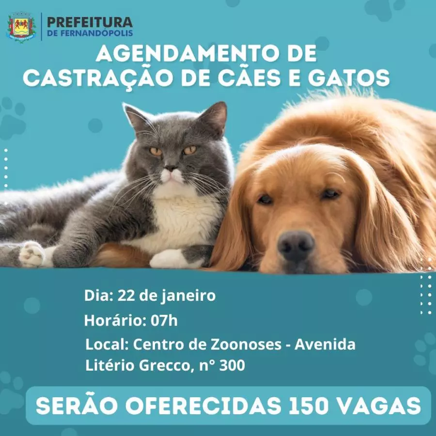 Centro de Zoonoses realiza agendamento para castração gratuita de animais
