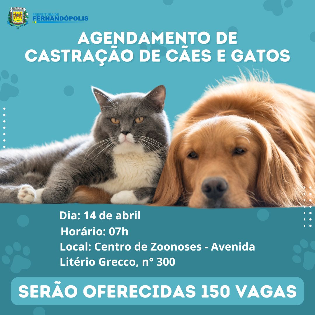 Centro de Zoonoses faz agendamento para castração gratuita de animais dia 14 de abril