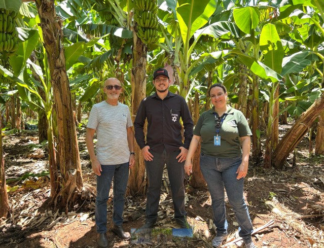 Sebrae-SP promove visita da Abrafrutas a propriedades do Noroeste Paulista