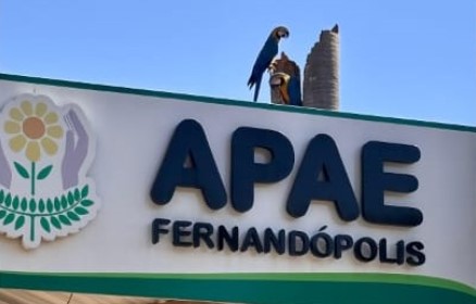 APAE de Fernandópolis celebra 54 anos de inclusão com festa e compromisso social