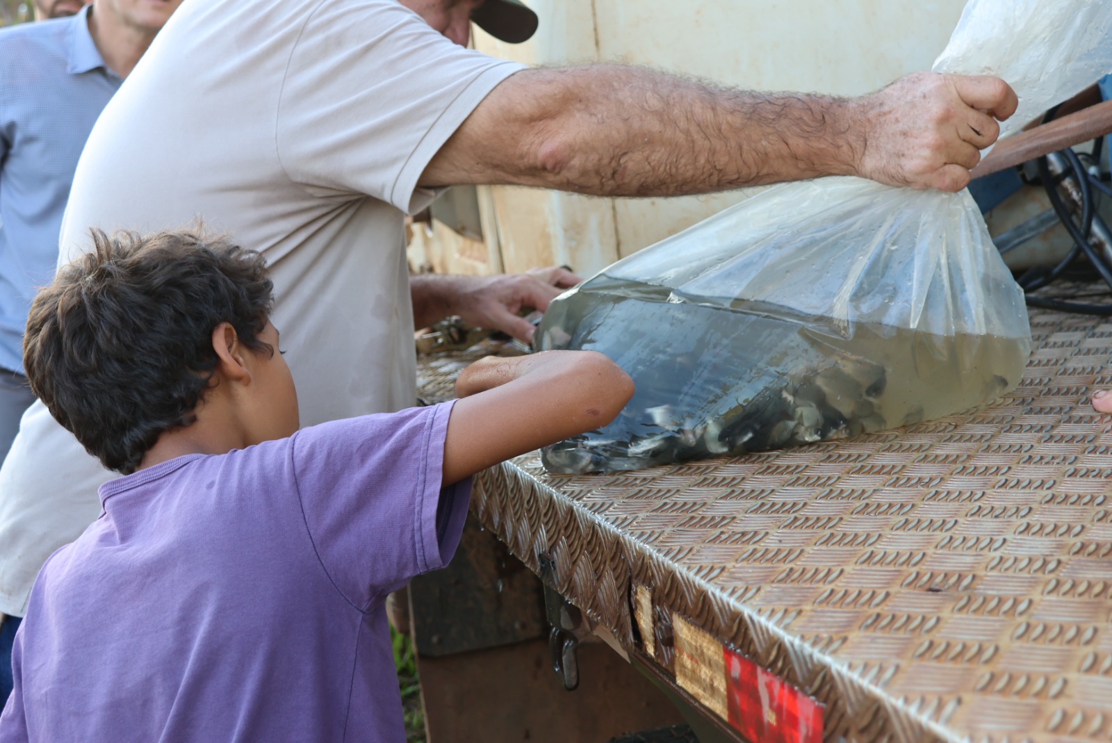 Prefeitura introduz peixes na Represa para o Festival de Pesca