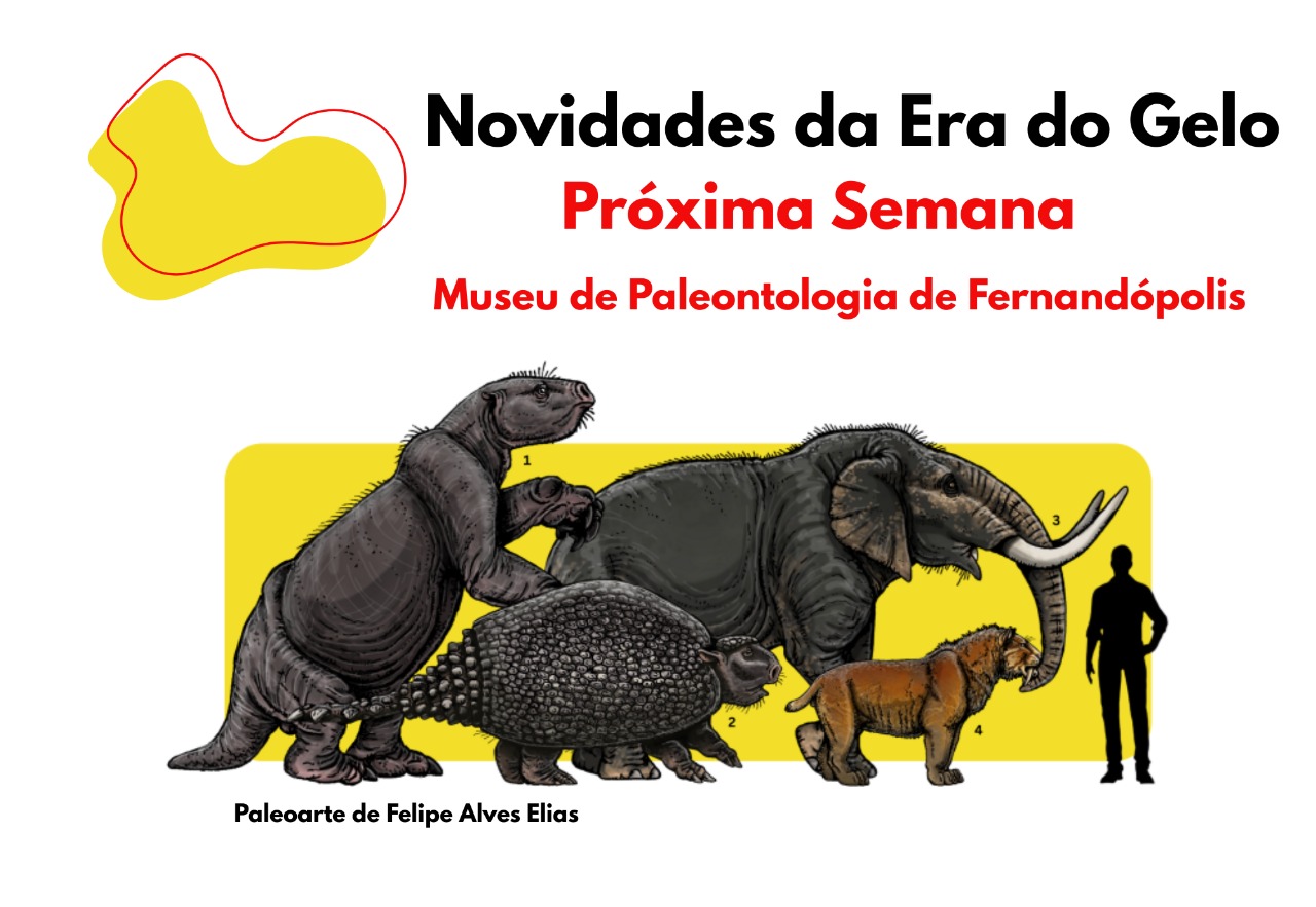 Museu de Paleontologia inaugura vitrine com réplicas do Pleistoceno