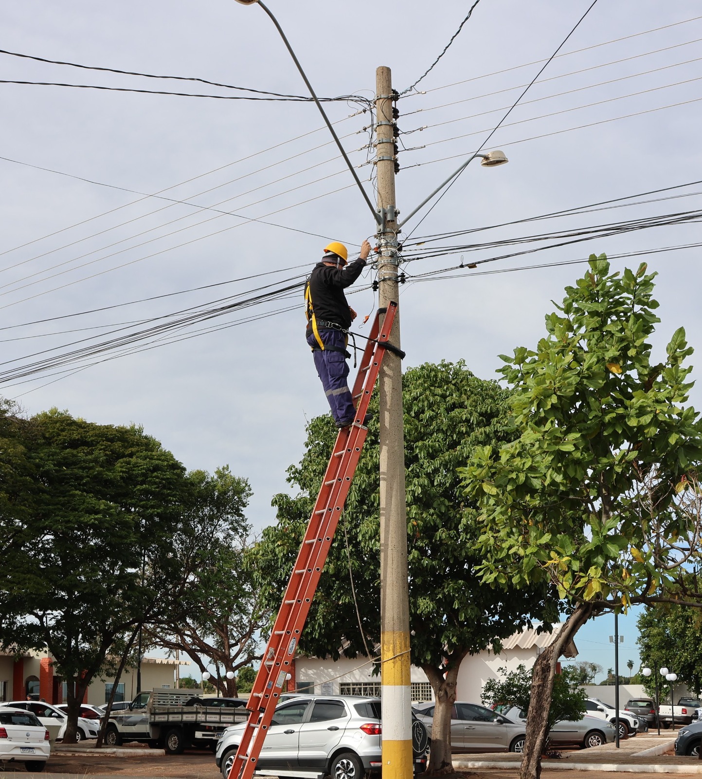 Postes e fiações passam por “operação de limpeza”