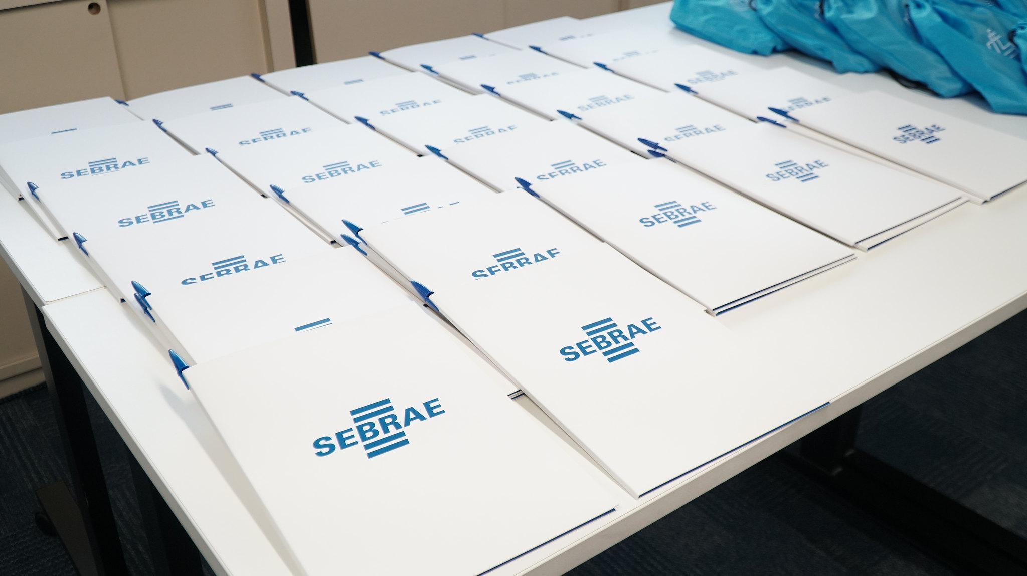 Evento do Sebrae-SP apresenta estratégias para desenvolvimento econômico em Dolcinópolis