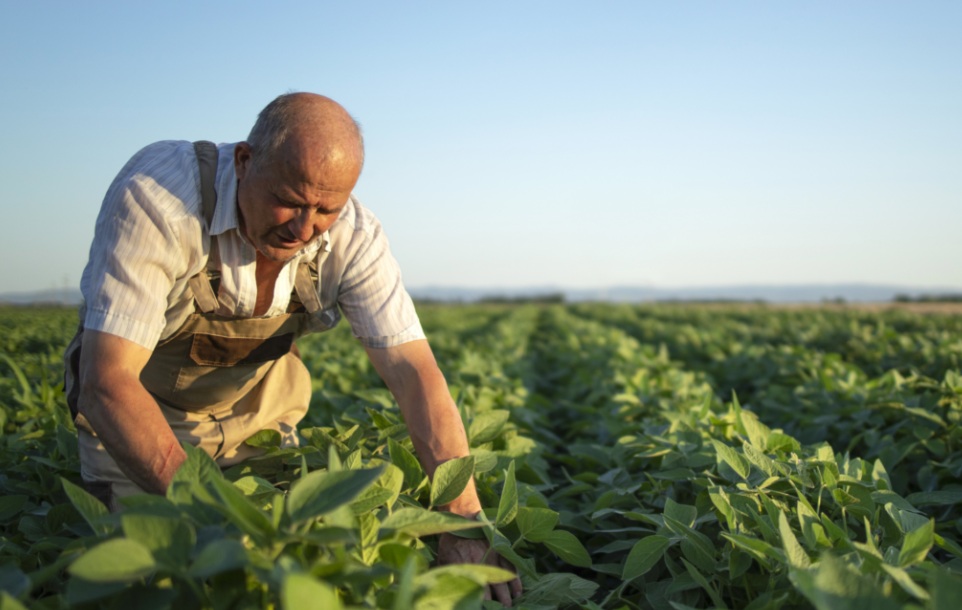 Sebrae-SP realiza palestra sobre empreendedorismo rural para produtores em Jales