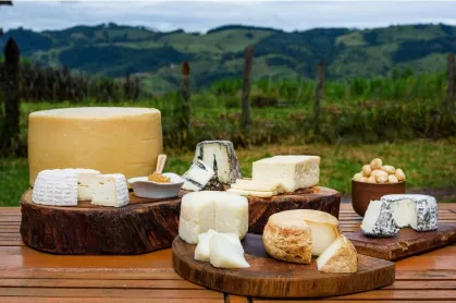 Fernandópolis é contemplada e passa a integrar a Rota do Queijo de SP