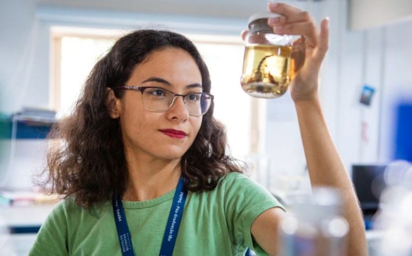 Instituto Butantan abre inscrições para mestrado e doutorado em toxinologia; cursos ofertados são gratuitos