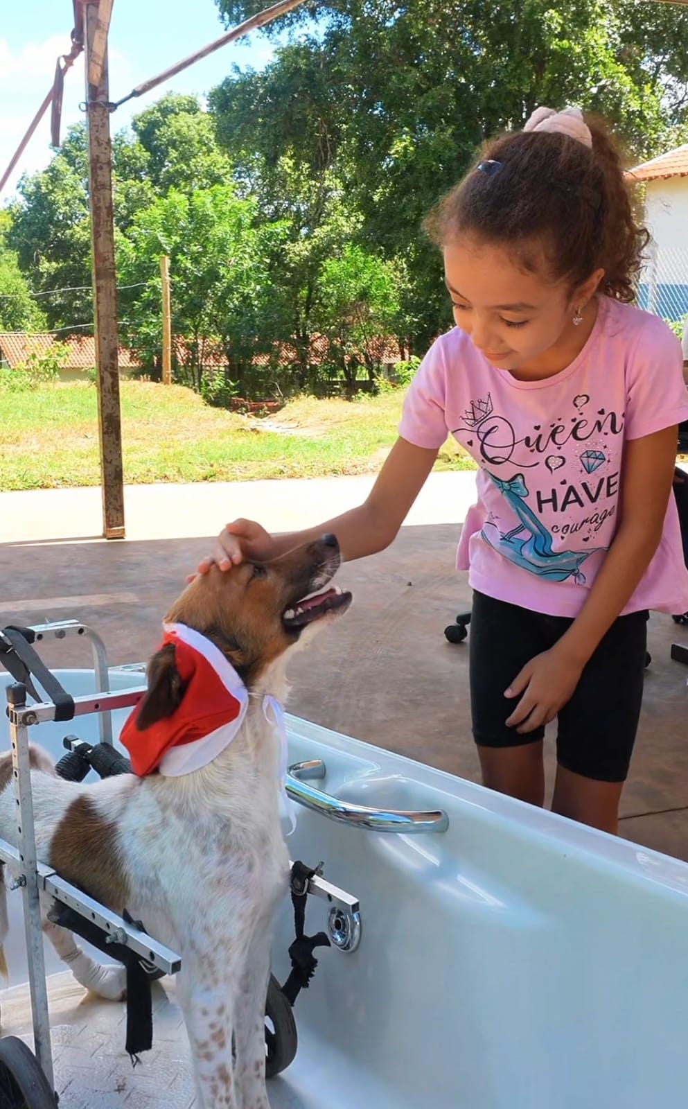 Ação do Centro de Zoonoses reúne vacinação e adoção de animais
