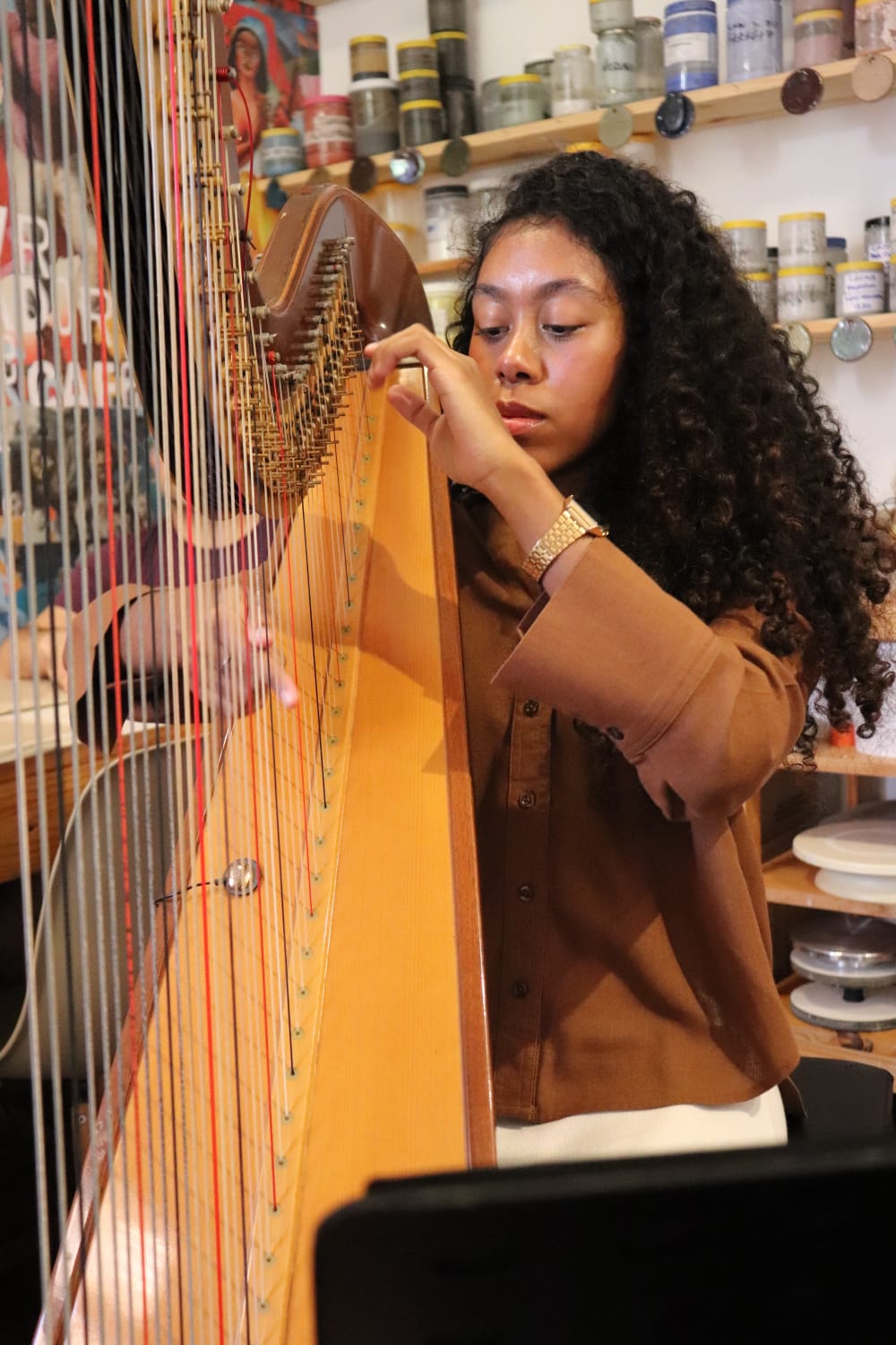 Pela primeira vez, região noroeste terá concerto de harpa durante o Natal