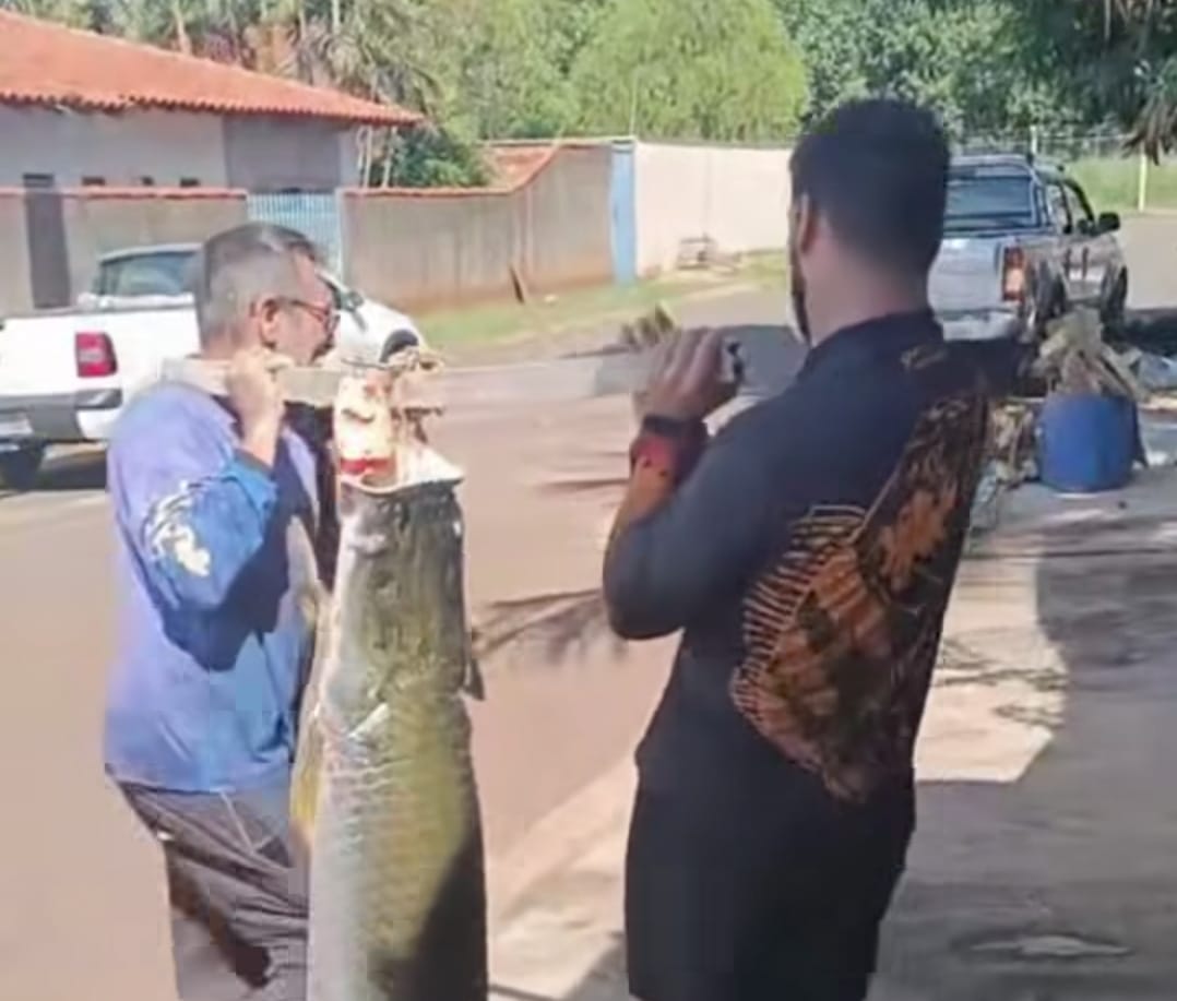 “Gigante das Águas”: Pirarucu de 55 kg é fisgado no Rio Marinheiro, em Cardoso