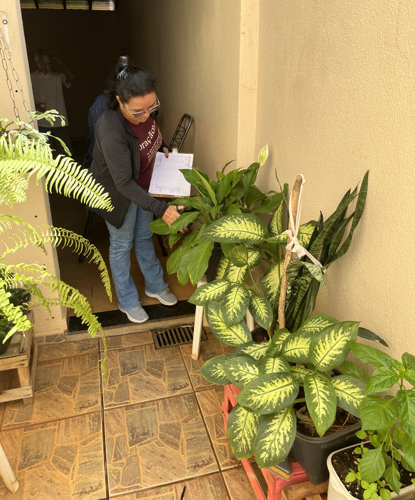 Prefeitura inicia força-tarefa de combate ao Aedes aegypti