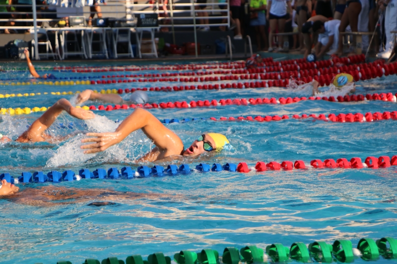 Votuporanga sedia curso de arbitragem de natação da Federação Aquática Paulista
