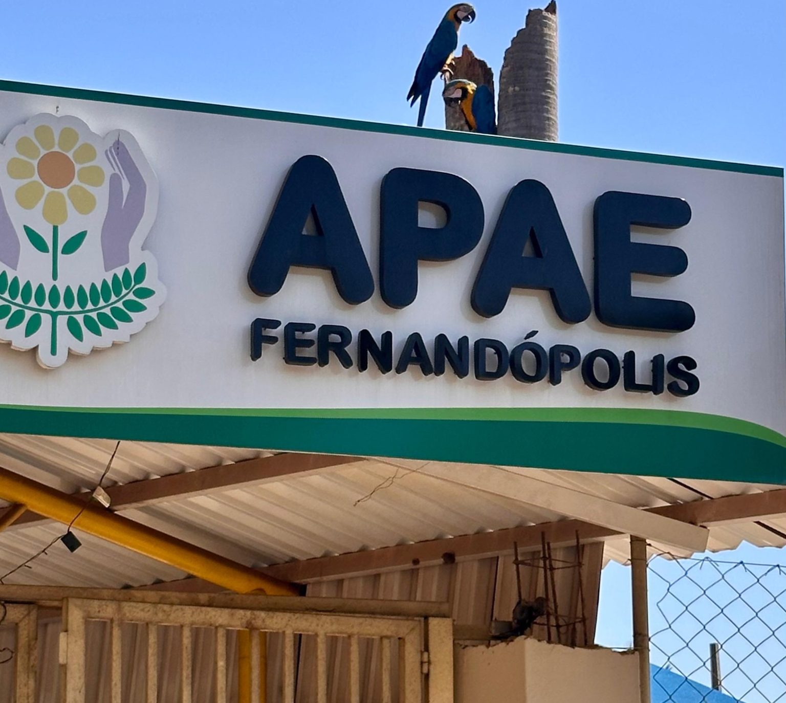 APAE de Fernandópolis abre processo seletivo para cadastro reserva de professor especializado em TEA