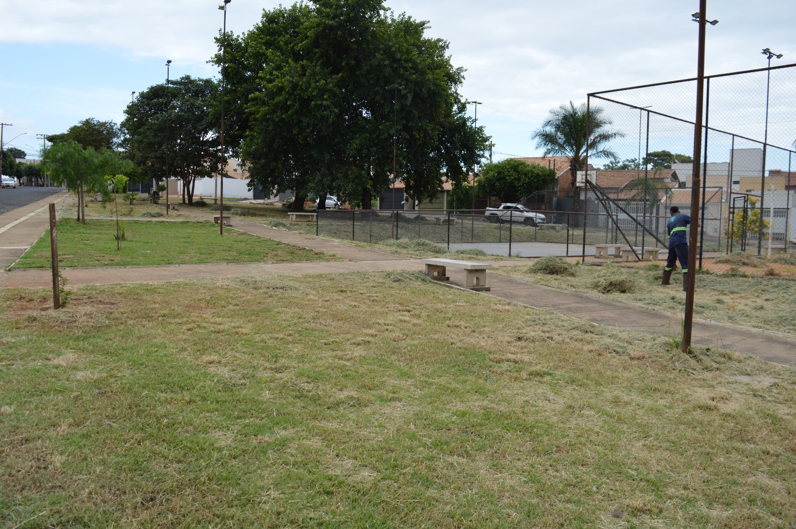 Em cinco dias, cerca de 10 alqueires são roçados na área urbana de Fernandópolis