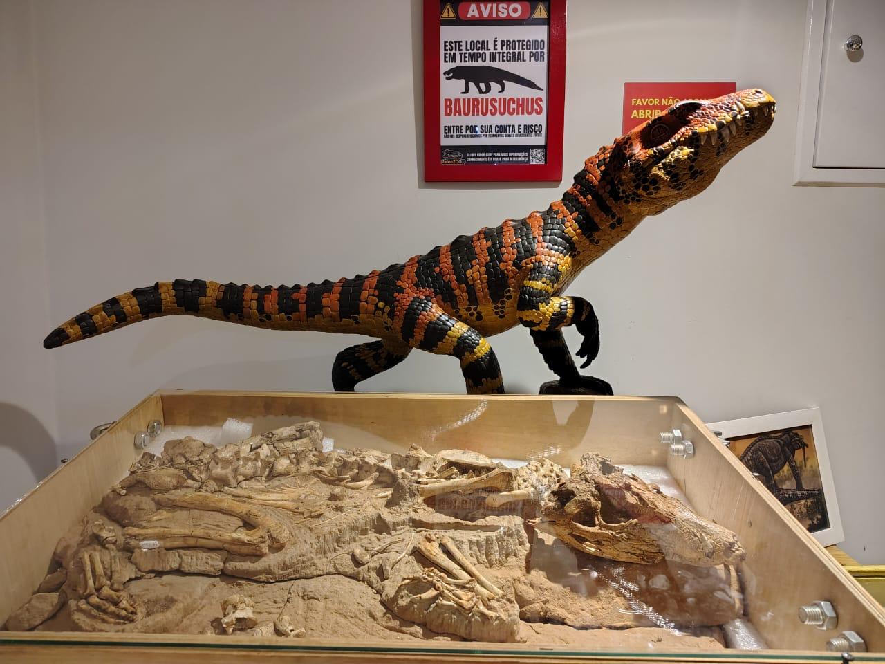 Fóssil do Museu de Paleontologia destaca Fernandópolis internacionalmente