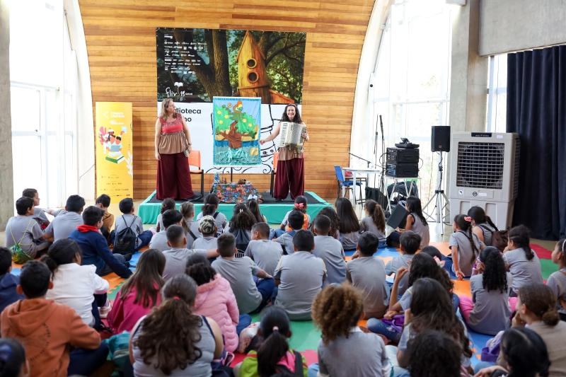 Fliv 2026 abre editais e amplia participação regional em projetos artísticos