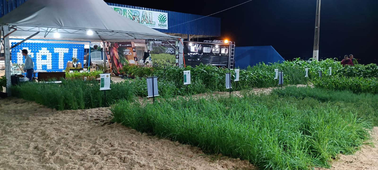 CATI retorna à Expo Fernandópolis com atendimento gratuito e exposição de cultivos para produtores rurais