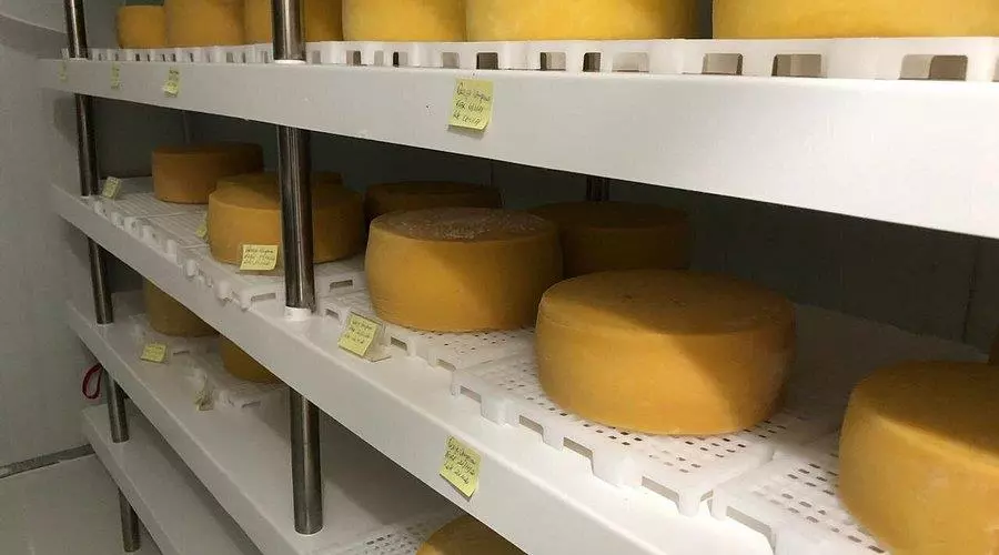 Fernandópolis cria selo exclusivo para valorizar e promover produtos da cidade