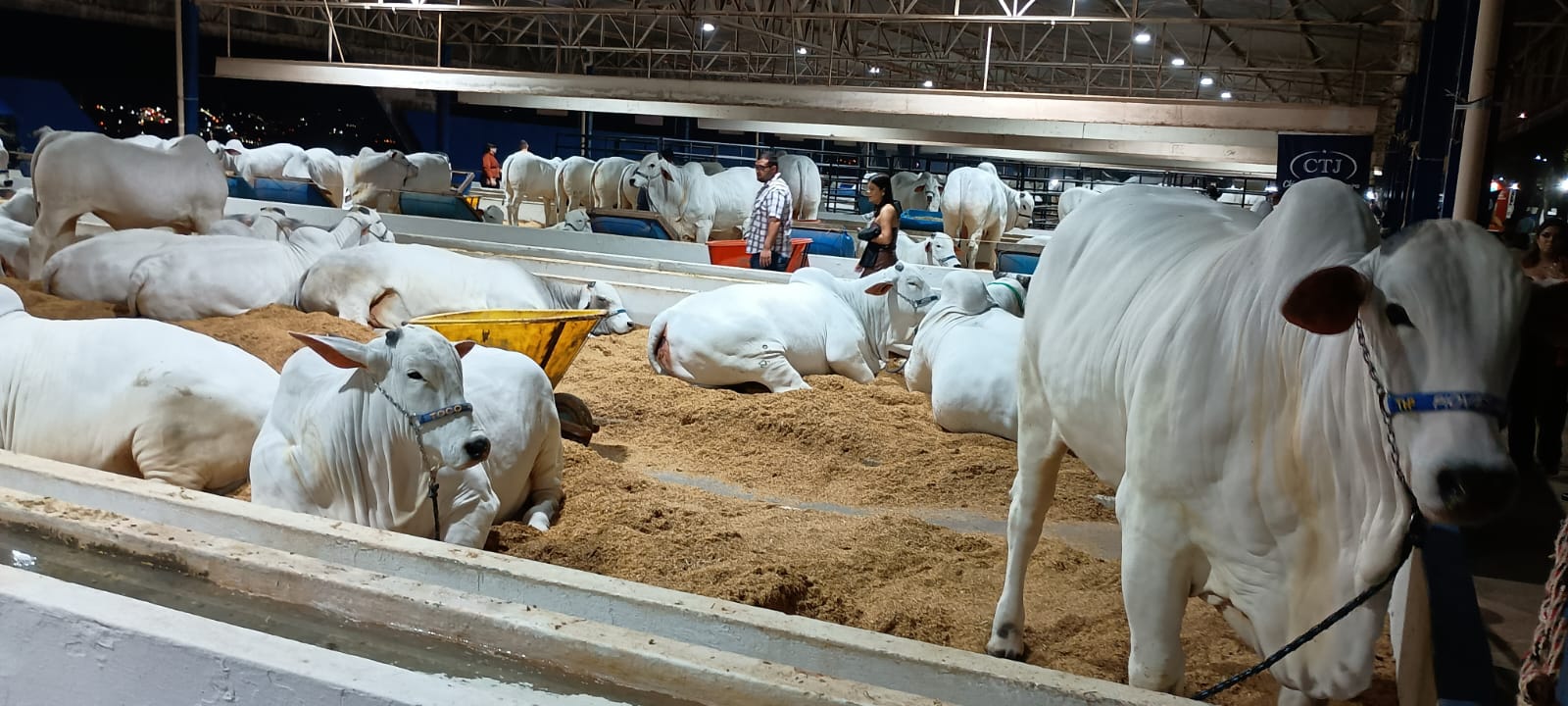 Expo Fernandópolis impulsiona negócios e reúne grandes marcas do agronegócio no Recinto Percy Waldir Semeghini