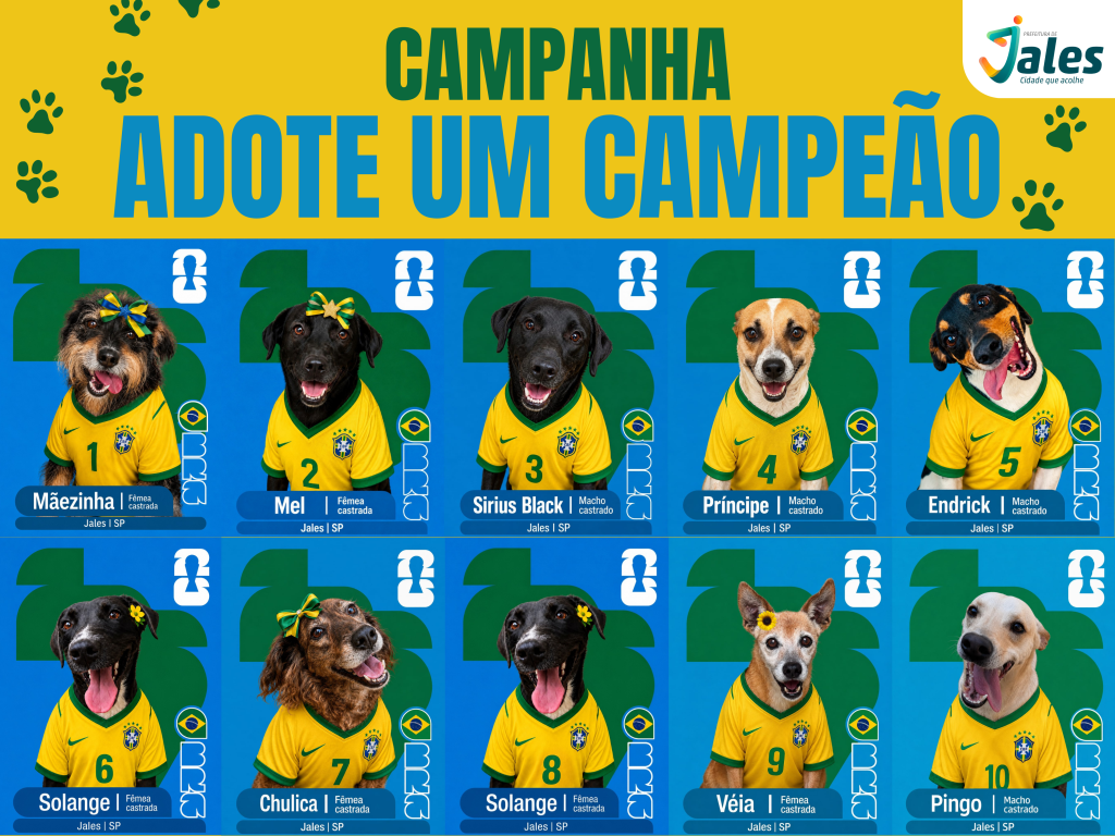 Prefeitura de Jales lança campanha “Adote um Campeão” para incentivar a adoção responsável de cães e gatos
