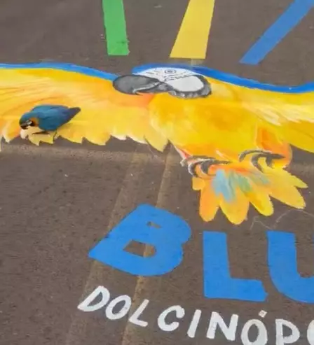 Mascote da cidade, arara ‘Blue’ surpreende ao caminhar sobre a própria pintura em Dolcinópolis