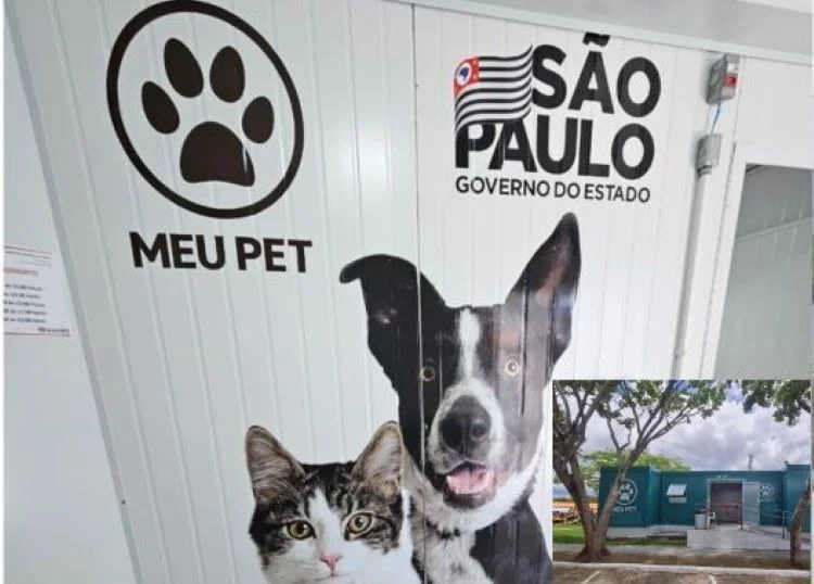 Região de São José do Rio Preto recebe mais de 1,6 mil castrações gratuitas pelo Pro Pet SP em julho 