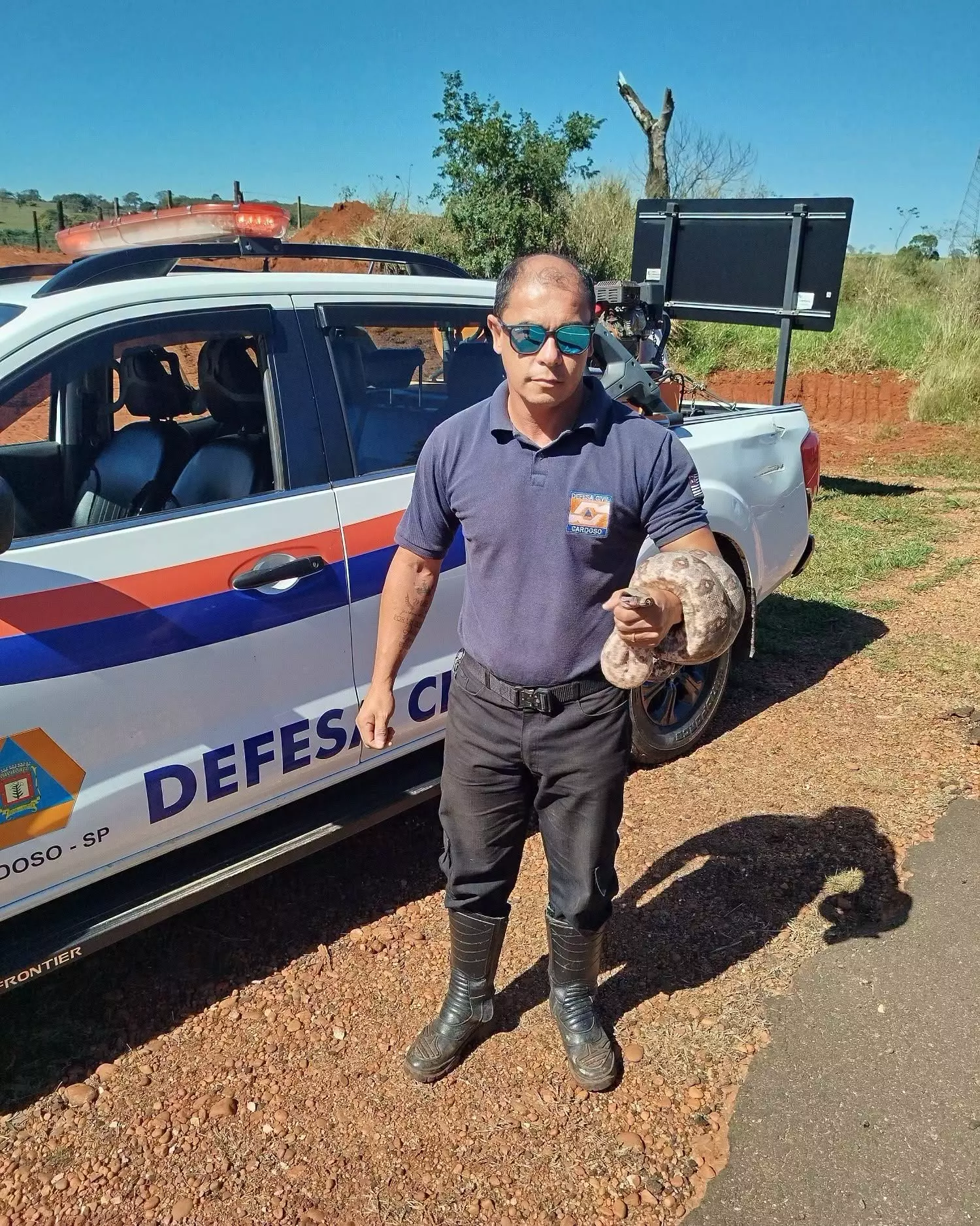 Defesa Civil de Cardoso resgata jiboia na Rodovia Péricles Bellini e devolve animal à natureza