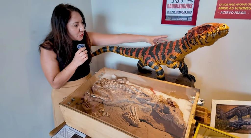 Museu de Paleontologia de Fernandópolis ganha destaque em documentário de um dos maiores canais de divulgação científica do Brasil