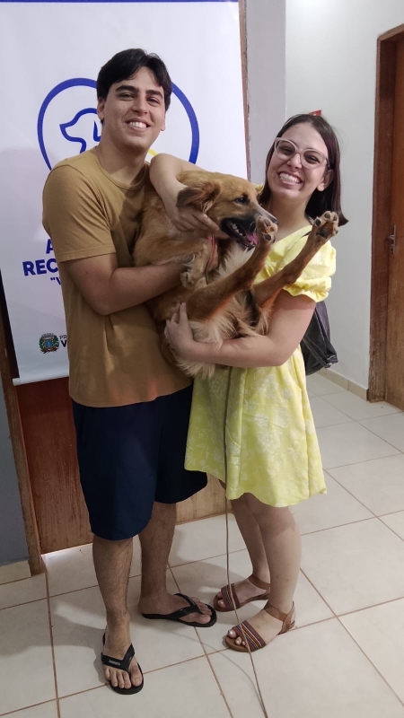 Secretaria de Bem-Estar Animal promove adoção responsável de 155 animais em sete meses