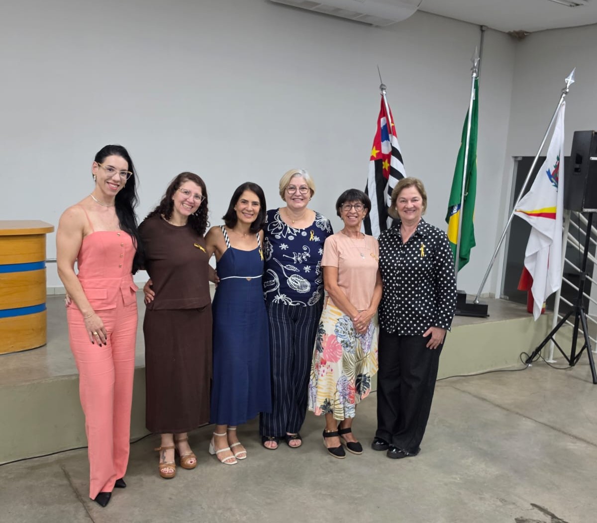 “Agosto Dourado”: palestrantes orientam as ações dos agentes de saúde