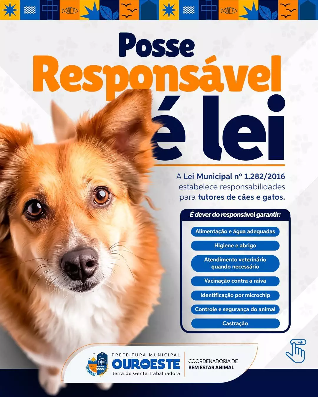 Ouroeste intensifica fiscalização da posse responsável de animais e alerta para multas que chegam a R$ 1,9 mil