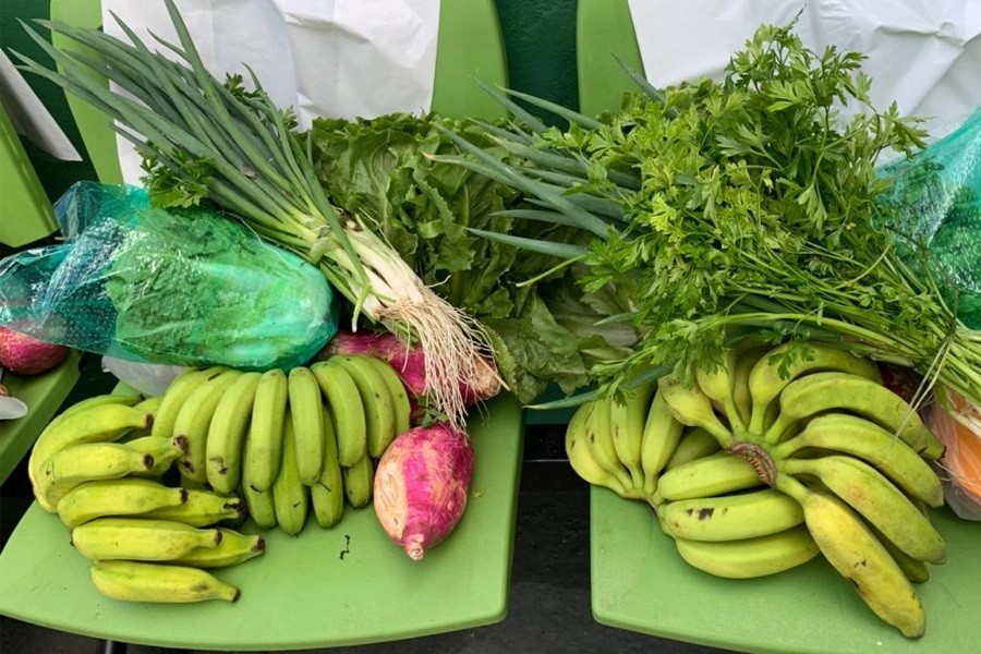 SAA abre novo chamamento público do Programa de Aquisição de Alimentos