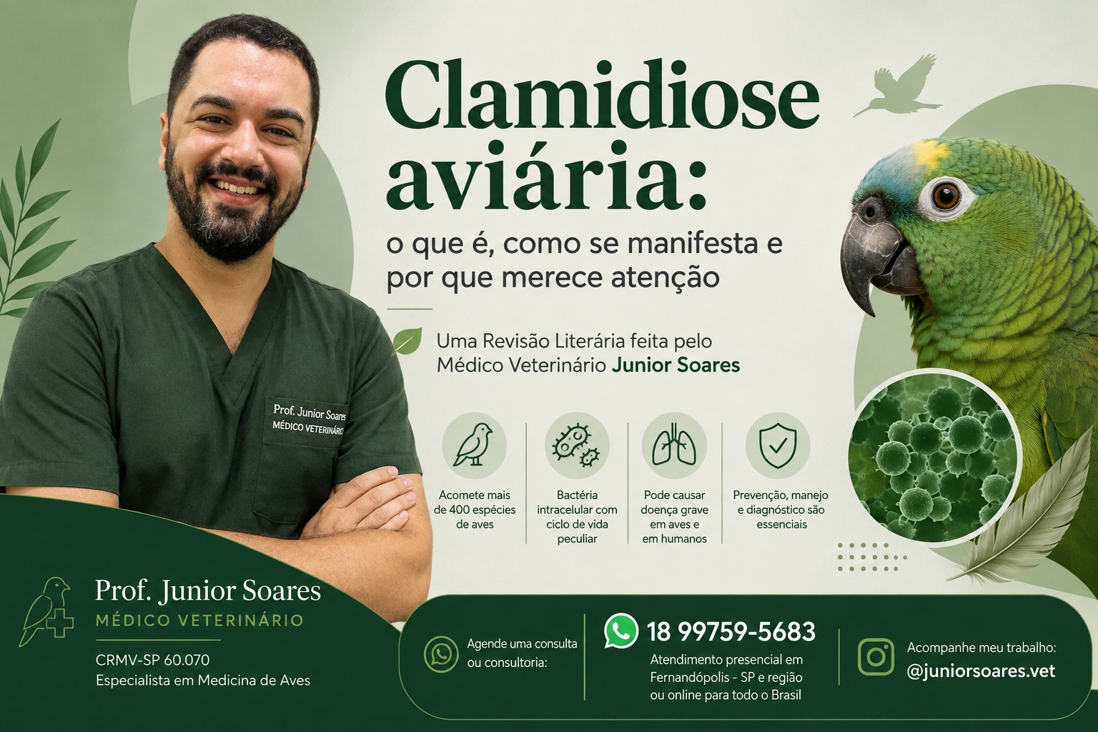 Clamidiose aviária: o que é, como se manifesta e por que merece atenção