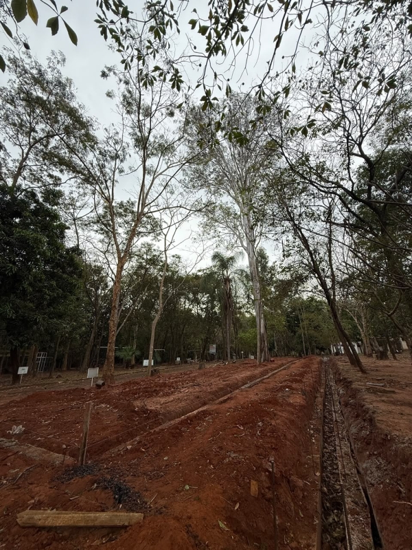Obras avançam no Horto Florestal para implantação do Centro de Educação Ambiental em Votuporanga