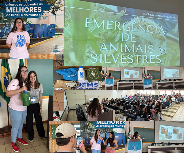 Médica-veterinária Rayssa Vitória, de Fernandópolis, ministra palestra sobre emergências em animais silvestres na Universidade Federal de Mato Grosso do Sul