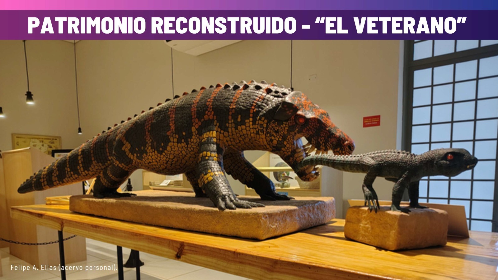 Museu de Paleontologia será destaque em evento científico no Chile
