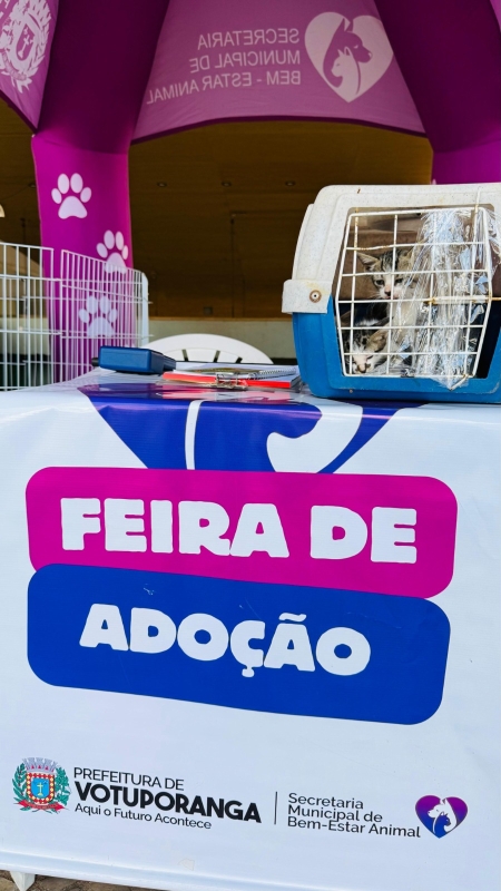 Votuporanga registra 65 adoções de cães e gatos em outubro